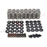 BTR Platinum Dual Valve Spring Kit .660" LIFT