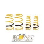 King Springs Lowering Springs